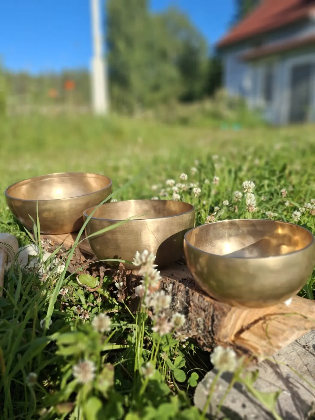 Äänimaljoja kannon päällä kesäisellä nurmella
