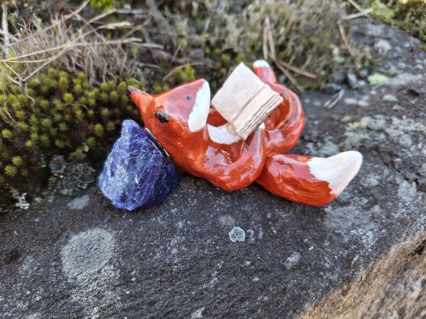 Kettu lukee kirjaa kivellä sinisen kiven vieressä