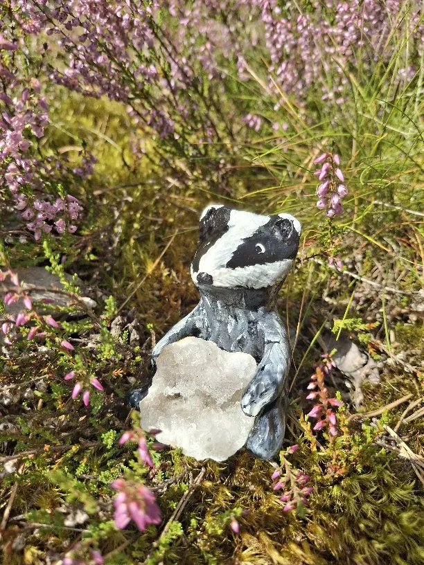 Mäyrä seisoo kanervikossa vaalea kivi sylissään