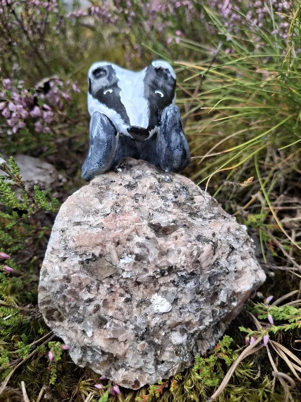 Mäyrähahmo kurkistaa graniittikiven takaa kanervikossa