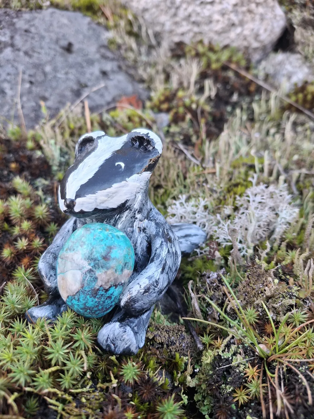 Mäyrä pitelee sinivihreää kivipalloa jäkälän keskellä
