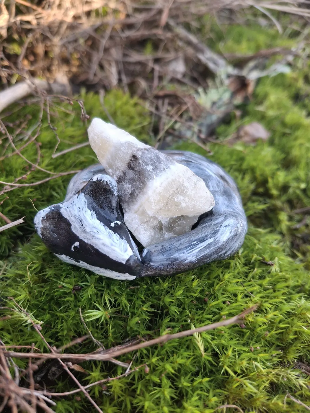 Mäyrä nukkuu kerällä vaalean kristallin ympärillä